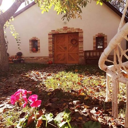 Góhér pince és vendégház Apartamento Csaszartoltes Exterior foto